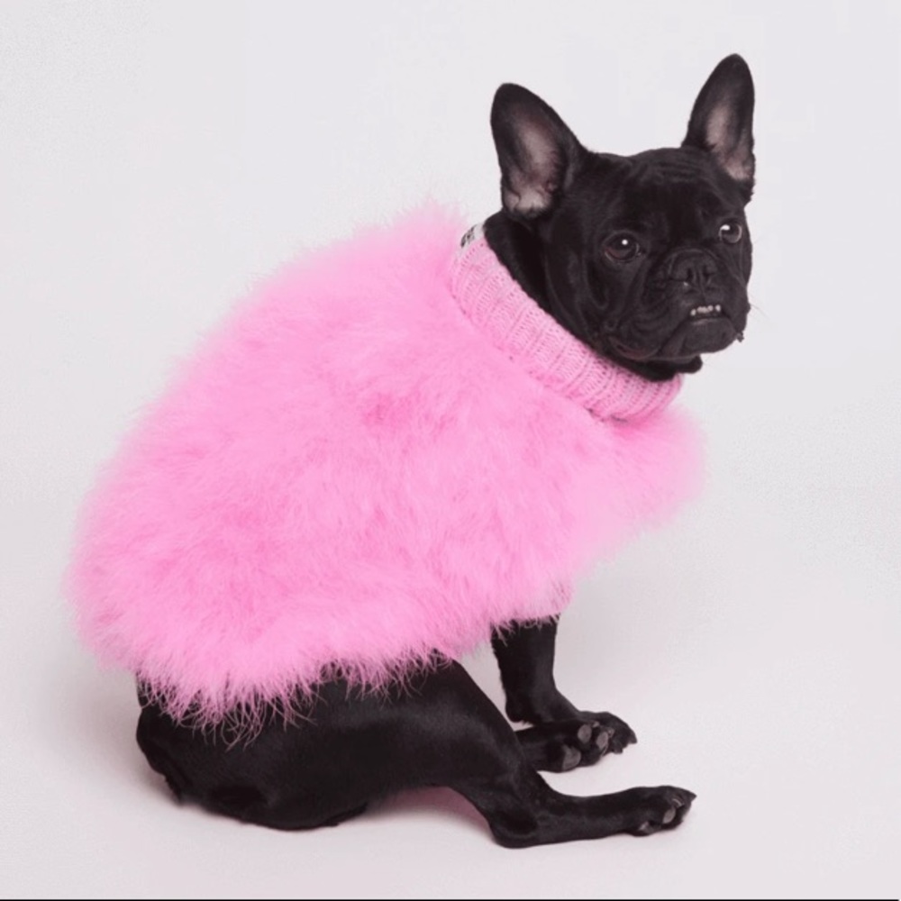 Christian Cowan x Max Bone Dog Jumper